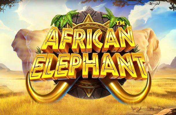 African Elephant